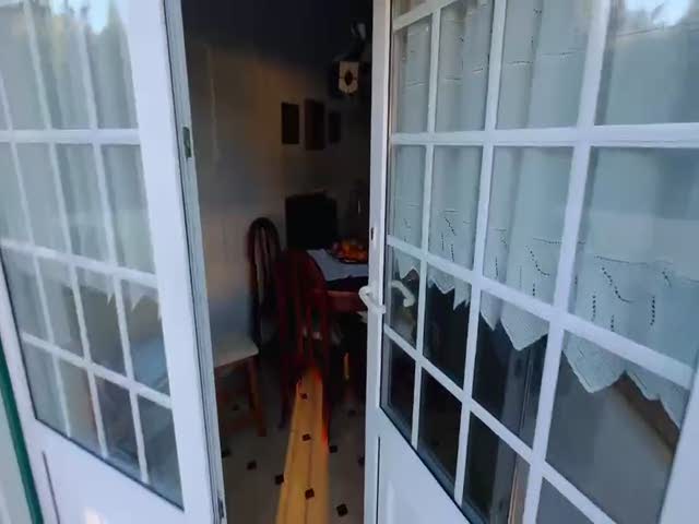 No Flash found
